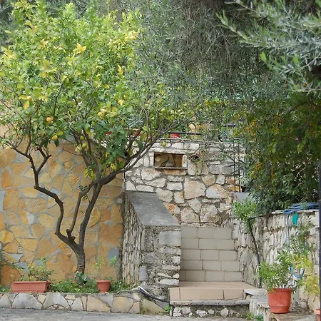 Galini *